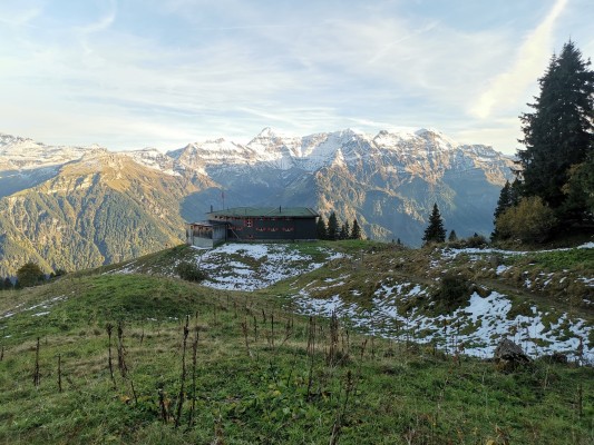 Wild im Ortstockhaus, 26.09. - 11.10.2026