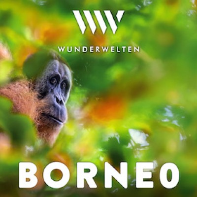 WunderWelten: Borneo - Dschungelleben