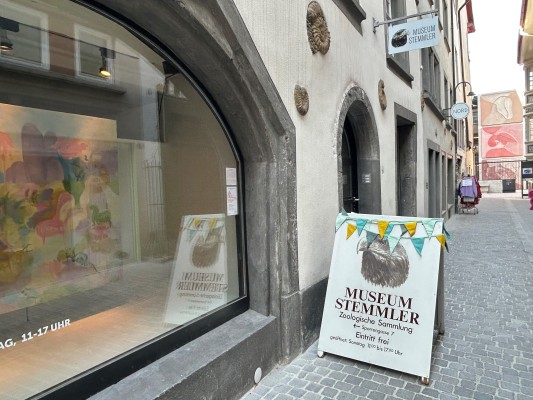 First Friday im Stemmler Museum
