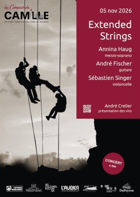 Extended strings : Konzert