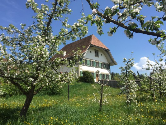 öffentliche Führung
