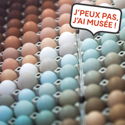 November: Im Museum ist was los! Mitmachen