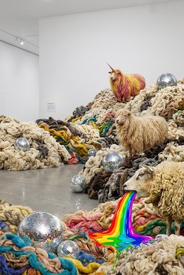 A symphony of wool