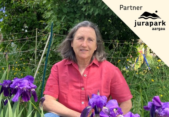 Herbs & Home Remedies - from Garden + Nature / Winter Course