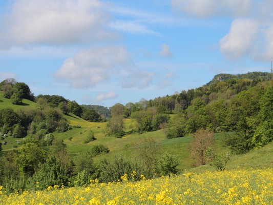 Reading and Experiencing the Landscape - History, Change, Significance