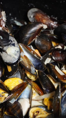 Moules et Frites in der Fischerhütte am Zürihorn