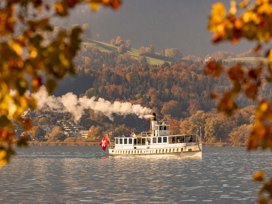 Touristische Busrundfahrten DS « Spiez » ab und nach Thun