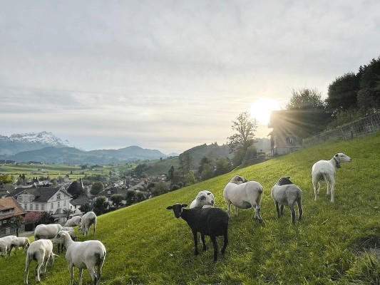 Geführte Wanderung: Letzte Wanderung bei unseren Kollektivmitgliedern
