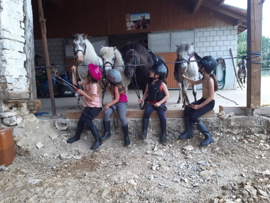 Poney - Einführungskurse