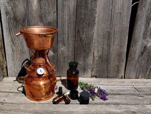 forum refurmo - Workshopreihe 2026 / Winterapotheke