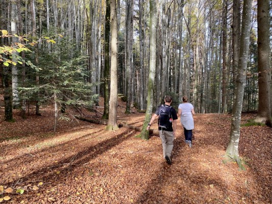 Popular Orienteering Race