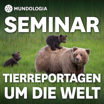 MUNDOLOGIA Seminar: Around the World Animal Reports