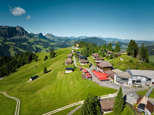 Wochen der Wild- und Pilzgerichte im Marbachegg Mountain Inn
