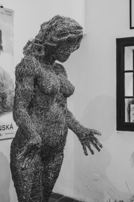 Veronika Psotková - En busca del Zen
