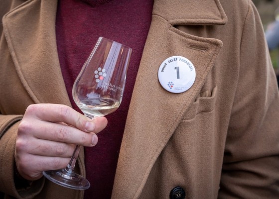 Verkostung junger Weine – Herbst-Offene Kellereien in Chvalovice
