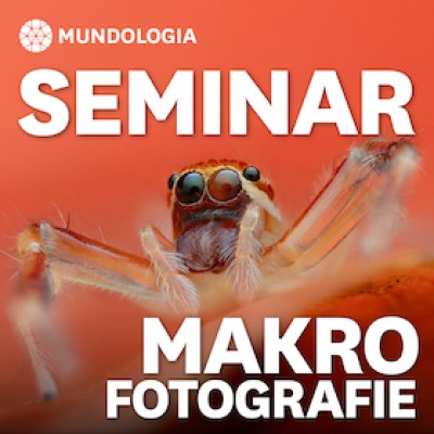 MUNDOLOGIA Seminar: Macro Photography