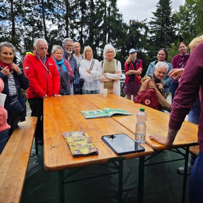 Das Leben tobt unten: Die Pilztour, die Zürich anders zeigt