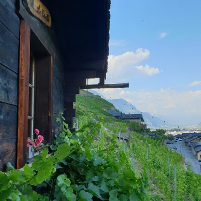 Geführte Tour durch Plan-Cerisier und sein Weinberg
