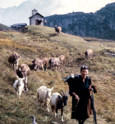Women and the Alpine Season