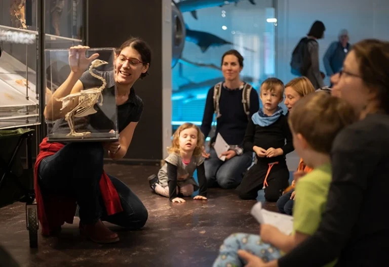 Ateliers parents-enfants au Musée d’histoire naturelle