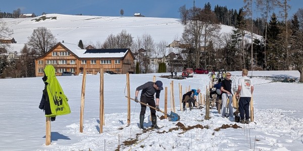 Natur verbindet – Pflanzung in Waldstatt