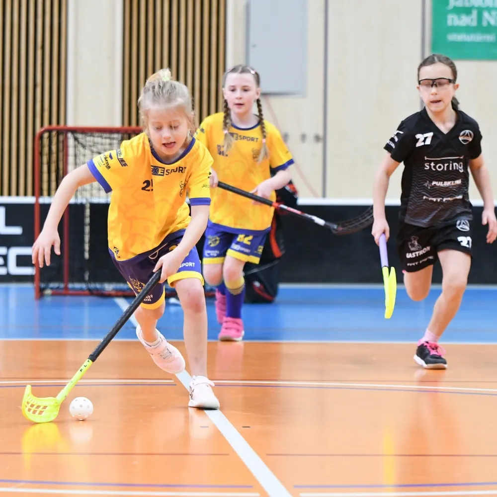 Floorball-Turnier – Juniorenliga