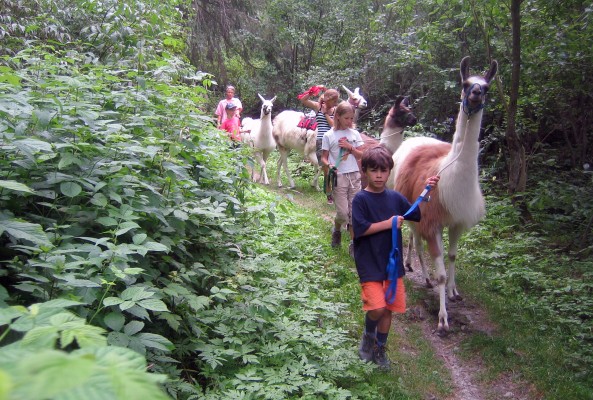Reisen mit Lamas – Individuelle Lama-Trekking-Touren
