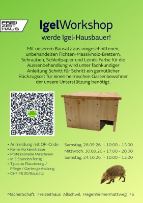 Workshop über Igel