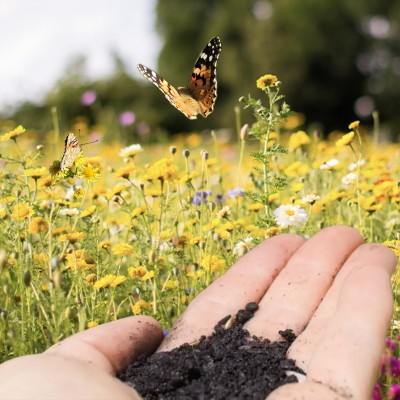 Vom Kohlenstoff zur Biodiversität