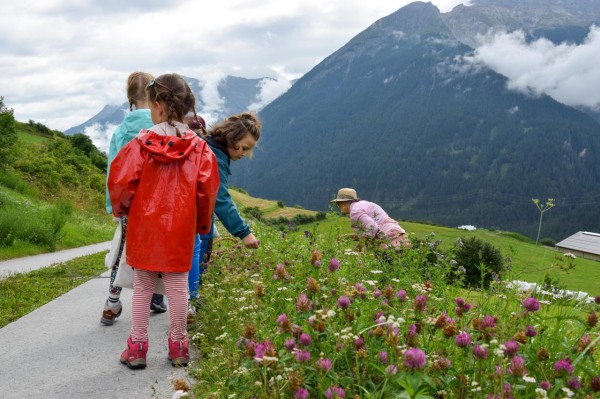 Pesto aus Wildkräutern für Kinder