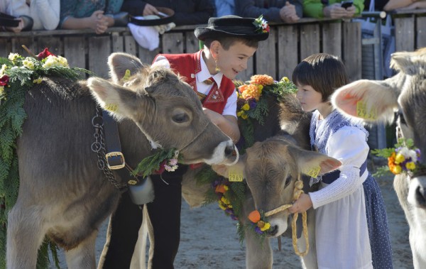 83. OLMA - Schweizer Landwirtschafts- und Lebensmittelmesse