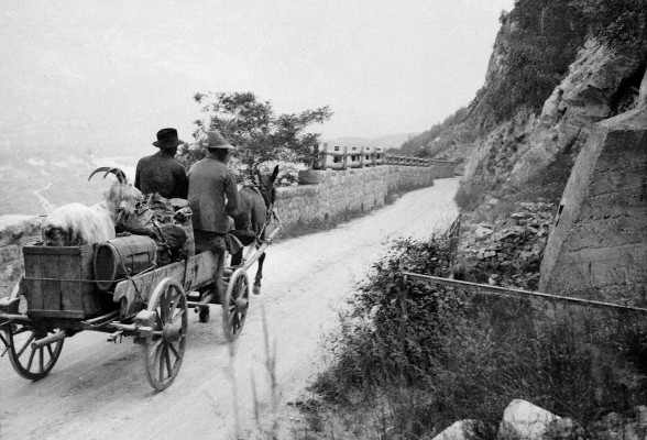 Valaisan Nomadism
