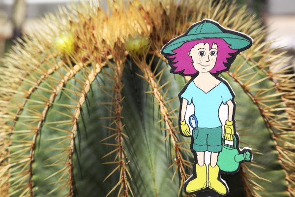 Safari Cactus avec Sara Dorn