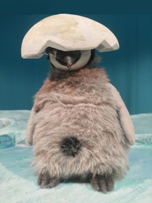 Pit Pinguin (à partir de 3 ans)