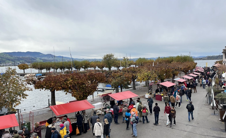 Käse-Festival Rapperswil