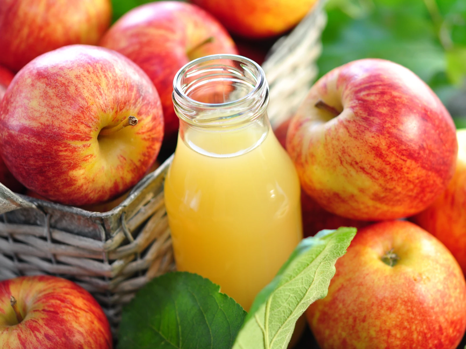 "Plai a mi": Apfelsaft pressen in Brigels