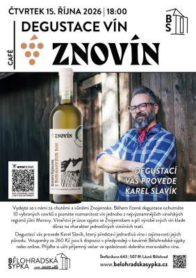 Degustace vín Znovín