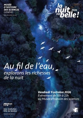 La Nuit est belle