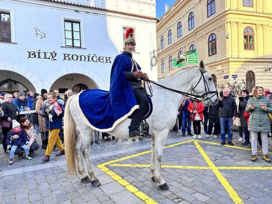 Svatomartinský Košt vín in Třeboň