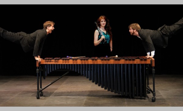 Acoustic Voyagers und Wooden Impact