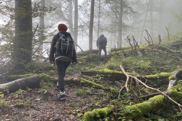 Ab in den Wald!