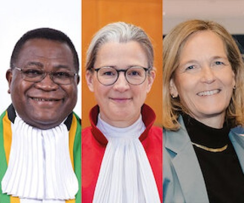 Blaise Tchikaya, Ann-Katrin Kaufhold y Anja Seibert-Fohr - Tribunales regionales de derechos humanos en la encrucijada