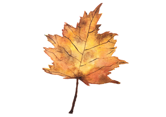 Herbstausflug